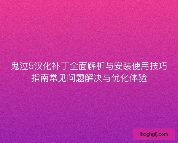 鬼泣5汉化补丁全面解析与安装使用技巧指南常见问题解决与优化体验